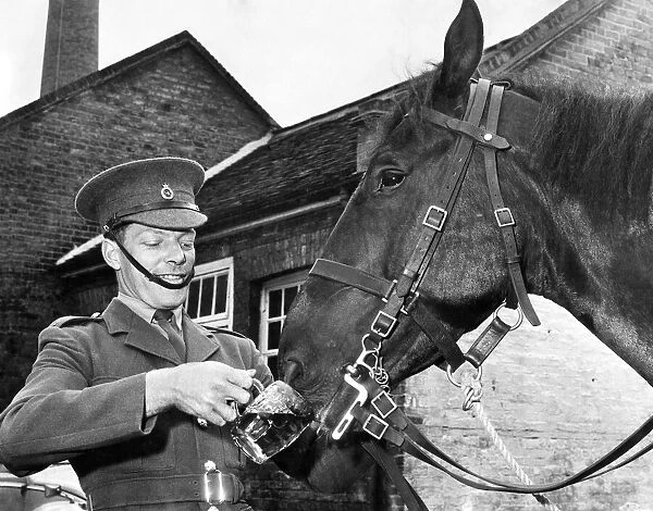 An officer of the Life Guards regiment, part of the Household Cavalry of the British Army