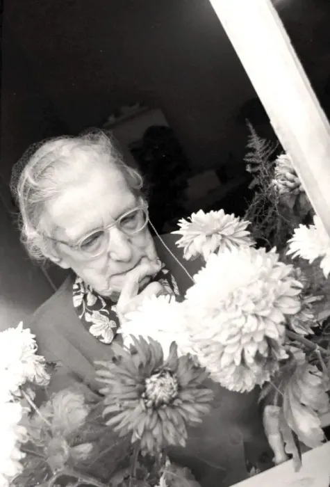 Framed Print : An old lady tends to the flowers on display at one of the Day Centres provided for Framed Print : An old lady tends to the flowers on display at one of the Day Centres provided for