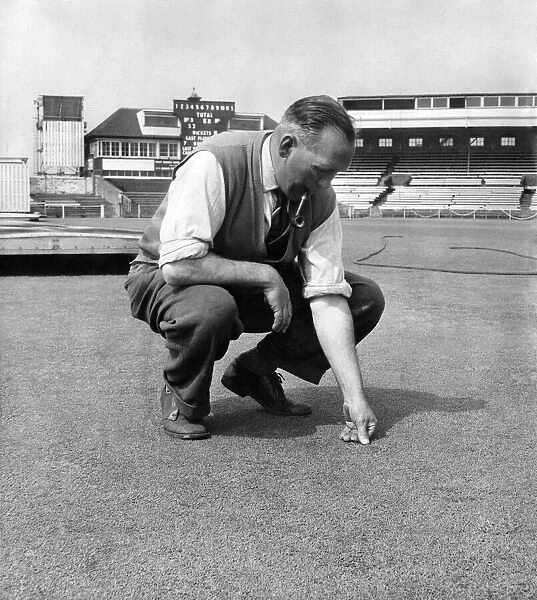 Old Trafford groundsman, Bert Flack, feels the test wicket after rolling it in