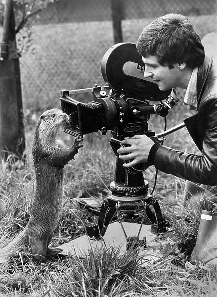 Otter that Turned Rotter: Cosy job, being a photographer
