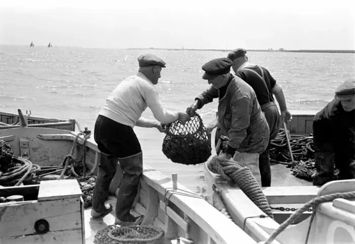 Framed Print : Oyster fishermen of Colchester at work in the River Blackwater and in the North Sea Framed Print : Oyster fishermen of Colchester at work in the River Blackwater and in the North Sea