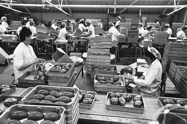 Packing on the Easter Egg production line at Cadburys Chocolate Bournville factory