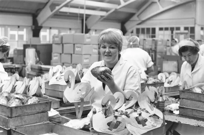 Framed Print : Packing on the Easter Egg production line at Cadburys Chocolate Bournville factory Framed Print : Packing on the Easter Egg production line at Cadburys Chocolate Bournville factory