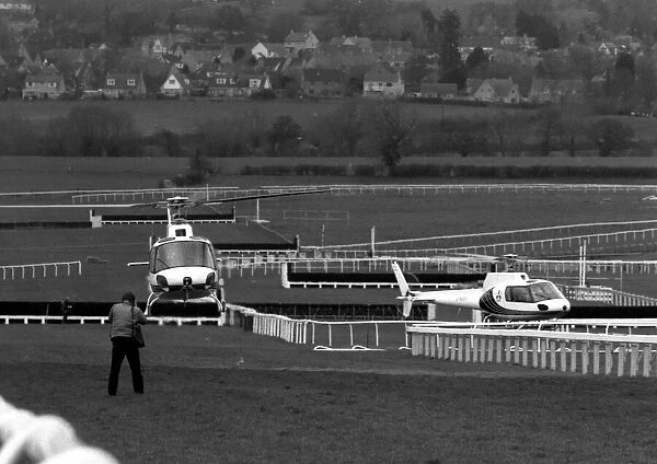 Here are a pair of the fastest Colts ever to race over the hallowed turf of Cheltenham