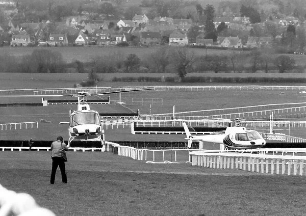 Here are a pair of the fastest Colts ever to race over the hallowed turf of Cheltenham