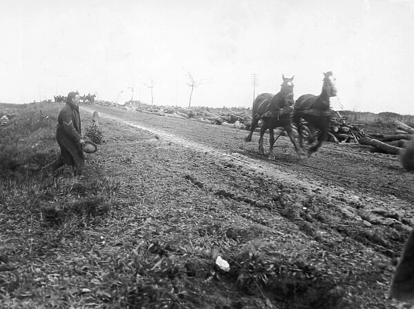 A pair of transport horses startled by a shell burst on the Somme battlefield