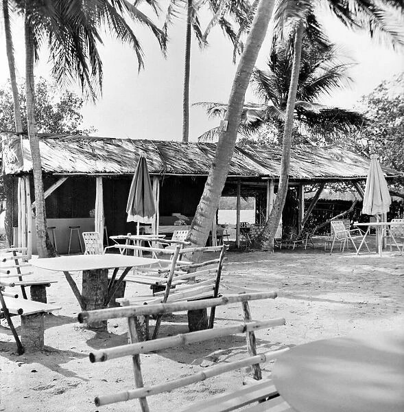 Palm Trees and Beach House in Tobago. May 1960 M4289
