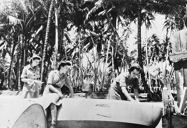Under palm trees on the fringes of the Ceylon jungle, W. A. A. F