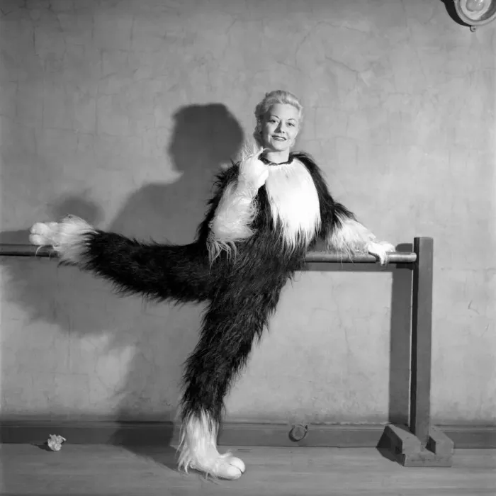 Framed Print : Pantomime cat: Actress Jeanie Craig as Tommy the cat in Dick Whittington. December 1956