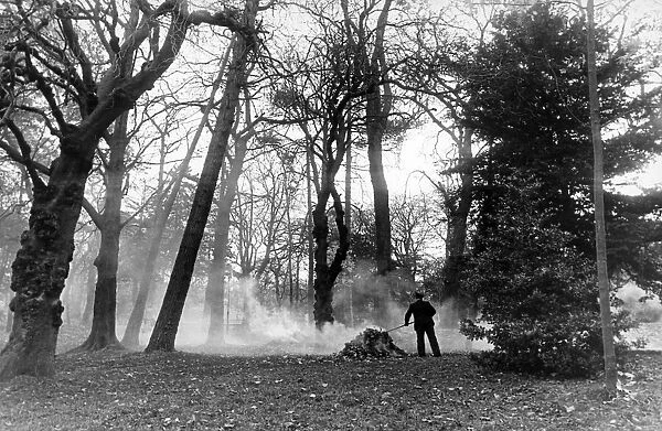 Park Ranger, gathering leaves at Stewart Park, Marton, Middlesbrough, England