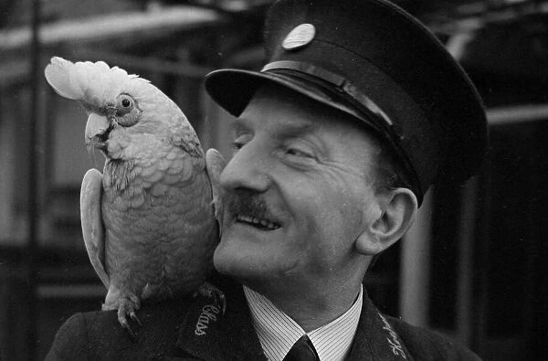 A Parrot with his keeper at London Zoo Circa 1938