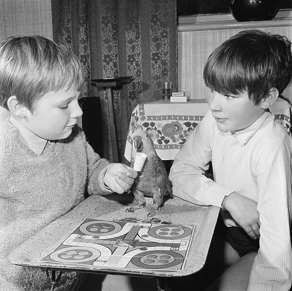 Parrot plays Ludo with two boys. Circa 1972