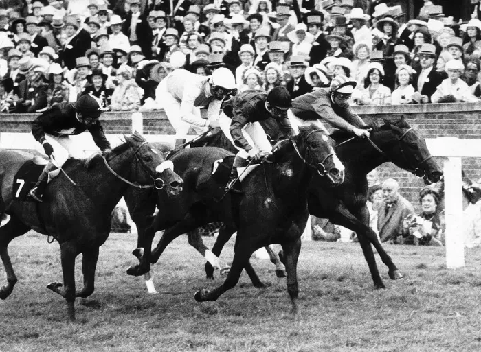 Framed Print : Parsiomony wins from Pearl Star & Princess Bonita who dead heated for 2nd place Framed Print : Parsiomony wins from Pearl Star & Princess Bonita who dead heated for 2nd place