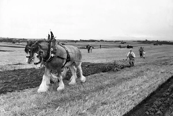 Participants at the Northern Counties ploughing match at Throckley in 1983