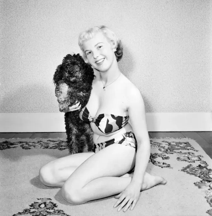 Framed Print : Pat Bolton seen here with her pet poodle dog. 1964 E298-003 Framed Print : Pat Bolton seen here with her pet poodle dog. 1964 E298-003