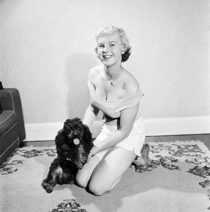 Framed Print : Pat Bolton seen here with her pet poodle dog. 1964 E298-006 Framed Print : Pat Bolton seen here with her pet poodle dog. 1964 E298-006