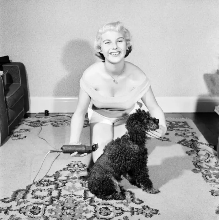 Framed Print : Pat Bolton seen here with her pet poodle dog. 1964 E298-010 Framed Print : Pat Bolton seen here with her pet poodle dog. 1964 E298-010