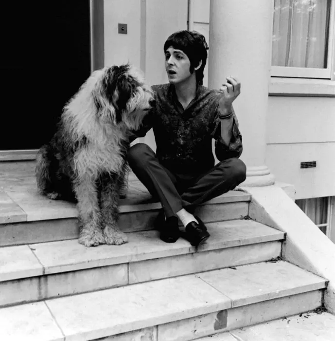 Framed Print : Paul McCartney at his St Johns Wood house on his 25th birthday 18 June 1967