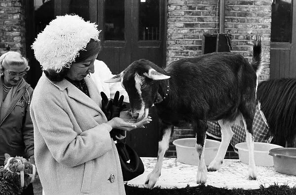 PDSA animal Christmas party. 20th December 1966
