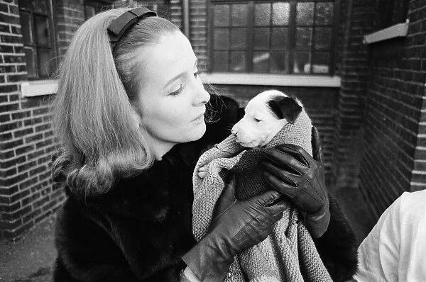 PDSA animal Christmas party. Pictured, Millicent Martin holds one of the puppies