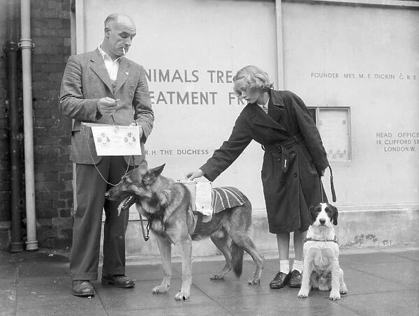 PDSA flag day collection in Coventry. Circa 1960