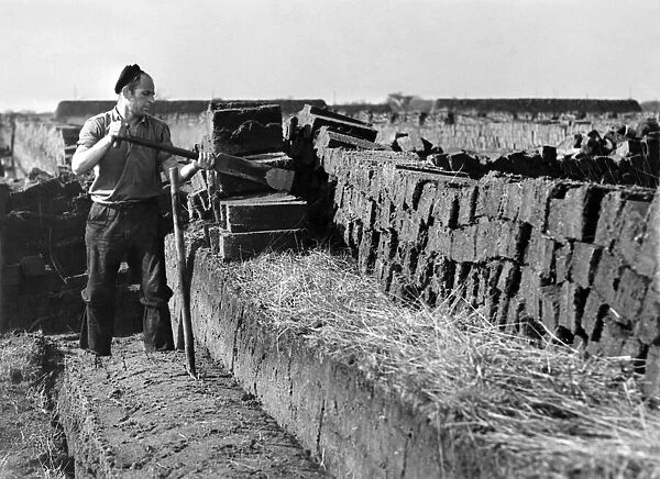 Peat Cutting: March 1954 P005169