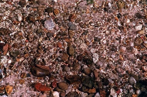 Pebbles in river Wivenhoe Essex. 1999