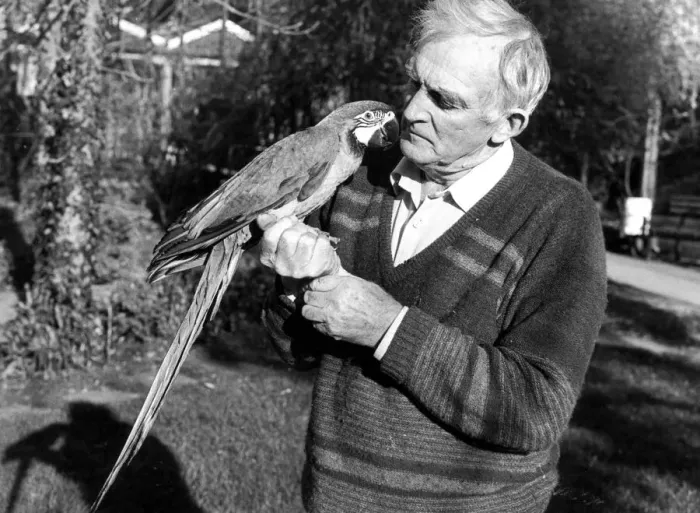 Framed Print : Penscynor Wildlife Park owner Idris Hale holds a blue and gold macaw