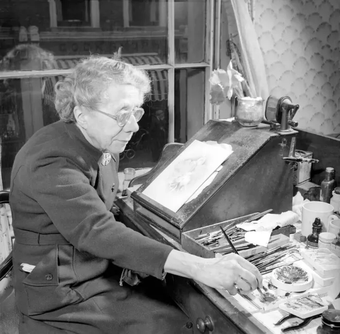 Framed Print : Pensioner: Old lady paints a picture of a flower circa 1955 Framed Print : Pensioner: Old lady paints a picture of a flower circa 1955