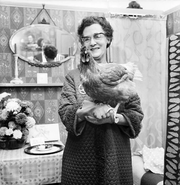 People: Humour: Women: Woman at home holding a chicken in one hand