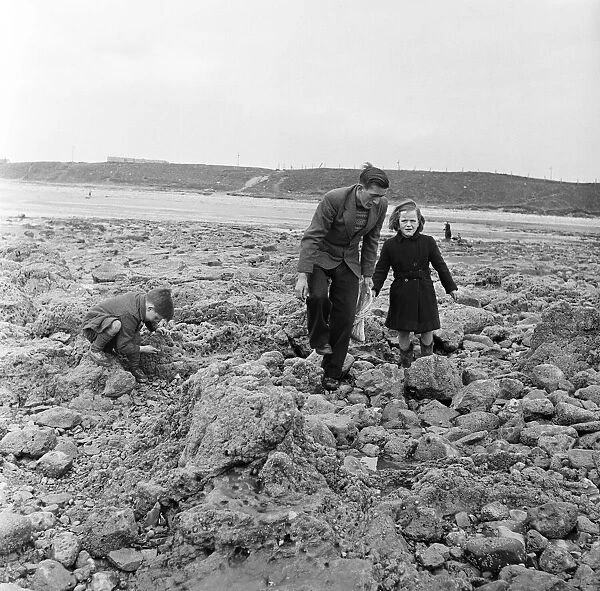People picking whelks in Sunderland, Tyne and Wear. 28th April 1954