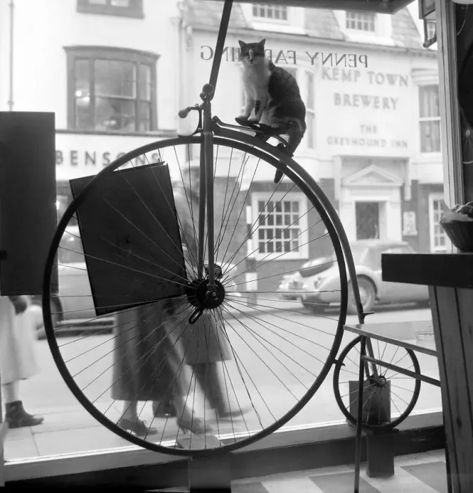Framed Print : People stand and stare in the window of the Penny Farthing Coffee Bar at Brighton Framed Print : People stand and stare in the window of the Penny Farthing Coffee Bar at Brighton