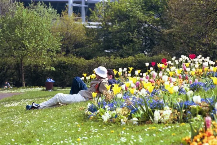 Framed Print : People sun bathing and relaxing in the Bank Holiday weather in Leazes Park