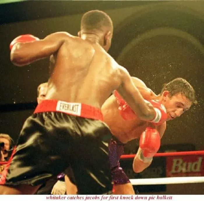  : Pernell Whitaker throws punch Gary Jacobs boxing