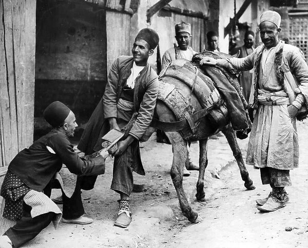 Persians shoeing a mule in Hamadan, capital city of Hamadan Province of Iran. Circa 1926