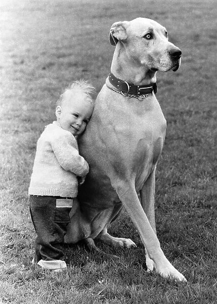 A pet and his pal. Giant dog with little boy leaning on him with affection