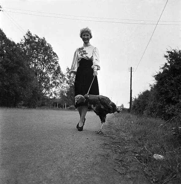 Pet Turkey - Mrs. Maureen Bartlett. June 1952 C2944