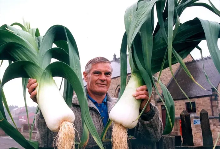 Framed Print : Peter Rhodes who is a competitor in the Beamish Museum Leek Show with two of his exhibits Framed Print : Peter Rhodes who is a competitor in the Beamish Museum Leek Show with two of his exhibits
