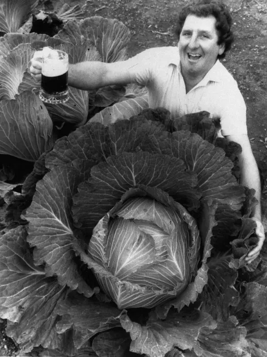 Framed Print : Phil Vowles with a cabbage which he watered with beer 1986 Framed Print : Phil Vowles with a cabbage which he watered with beer 1986