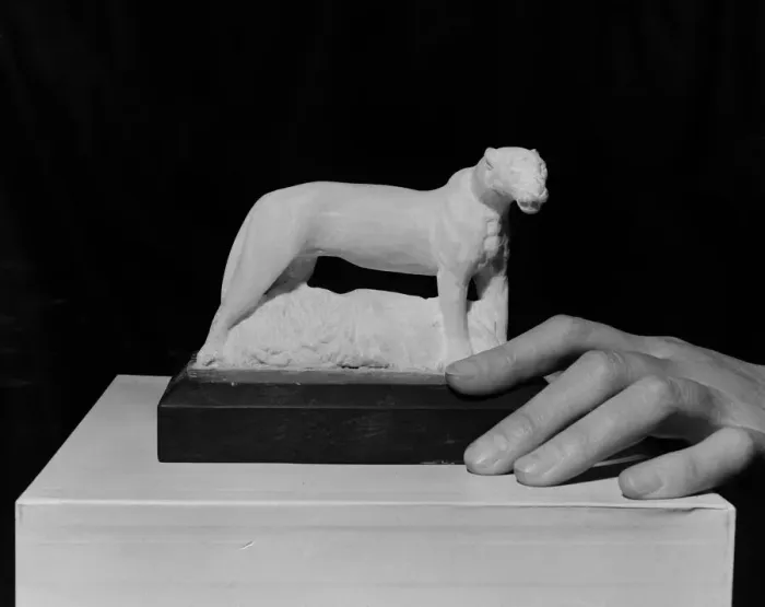 Framed Print : Photographer Heanly Alabaster leopard carved with army jack-knife by Harry Hussey Framed Print : Photographer Heanly Alabaster leopard carved with army jack-knife by Harry Hussey