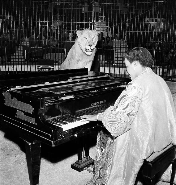 Pianist, Winifred Attwell went into the lions cage at Jack Hyltons Circus