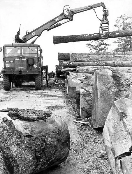 Picking up a log like a father, the specialised mobile crane