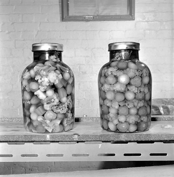 Pickle Packers: Jars of pickle onions and vegtables. 1954