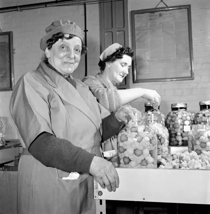 Framed Print : Pickle Packers: Pickle packers placing onions in jars. 1954 A156-003 Framed Print : Pickle Packers: Pickle packers placing onions in jars. 1954 A156-003