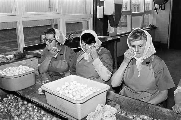 Pickled Onion Factory workers hard at work with tears in their eyes. July 5th 1978