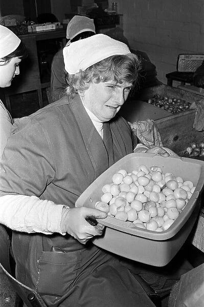 Pickled Onion Factory workers hard at work with tears in their eyes. July 5th 1978