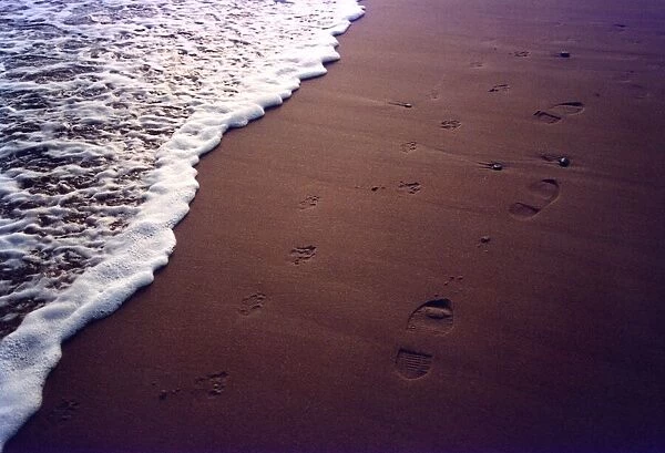 A picture of a dogs and its masters footprints on a beach