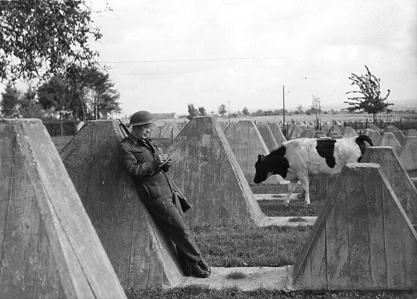 Picture shows a peaceful scene at the Siegfried Line. The Siegfried Line