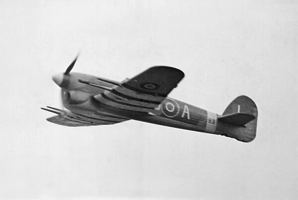 Picture shows a side view of a Hawker Typhoon in flight
