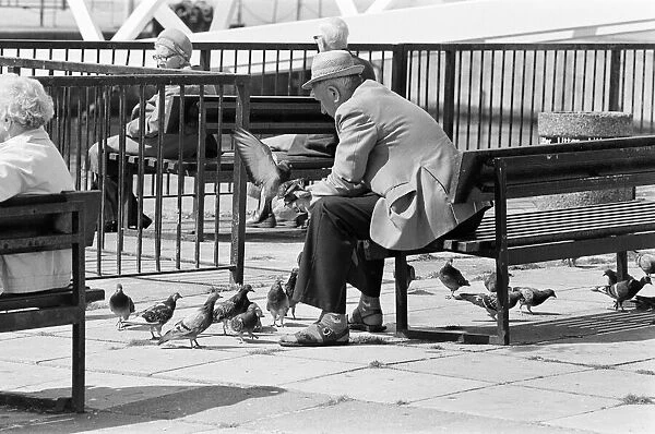 Pier Head, Liverpool, Merseyside, 17th August 1988. Man feeds the pigeons